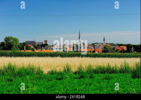 Ząbkowice Sląskie, Polska, Dolnośląskie, Dolny Sląsk, vieille ville, architecture, historique,Frankenstein in Schlesien - la ville Frankenstein en Silésie, Banque D'Images