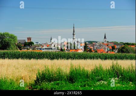 Ząbkowice Sląskie, Polska, Dolnośląskie, Dolny Sląsk, vieille ville, architecture, historique,Frankenstein in Schlesien - la ville Frankenstein en Silésie, Banque D'Images