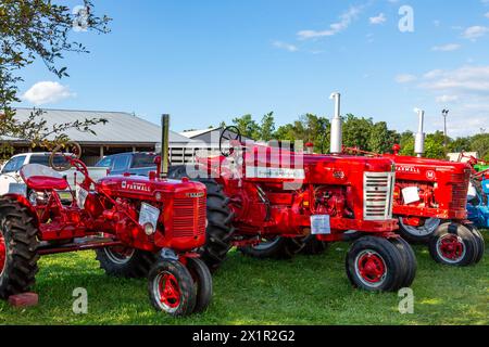 Trois anciens tracteurs International Harvester McCormick Farmall exposés dans un salon de tracteurs au parc d'expositions du comté d'Allen à Fort Wayne, Indiana. Banque D'Images