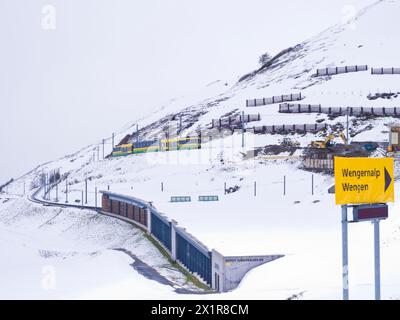 Train de montagne suisse en route vers la gare de Kleine Scheidegg. Banque D'Images