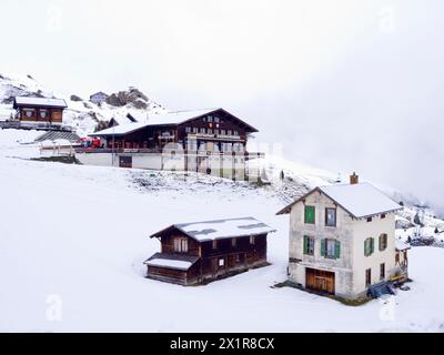 Train de montagne suisse en route vers la gare de Kleine Scheidegg. Banque D'Images