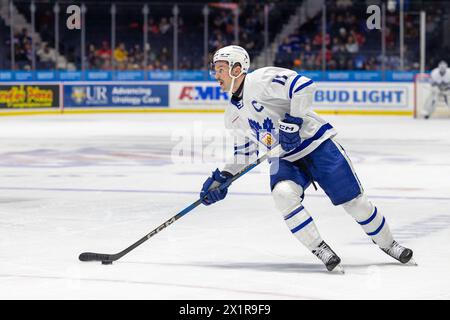 17 avril 2024 : L’attaquant des Marlies de Toronto Logan Shaw (11 ans) patine en première période contre les Américains de Rochester. Les Américains de Rochester ont accueilli les Marlies de Toronto dans un match de la Ligue américaine de hockey au Blue Cross Arena de Rochester, New York. (Jonathan Tenca/CSM) Banque D'Images