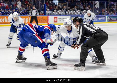 17 avril 2024 : L'attaquant des Marlies de Toronto Jacob Quillan (61) patine en première période contre les Américains de Rochester. Les Américains de Rochester ont accueilli les Marlies de Toronto dans un match de la Ligue américaine de hockey au Blue Cross Arena de Rochester, New York. (Jonathan Tenca/CSM) Banque D'Images