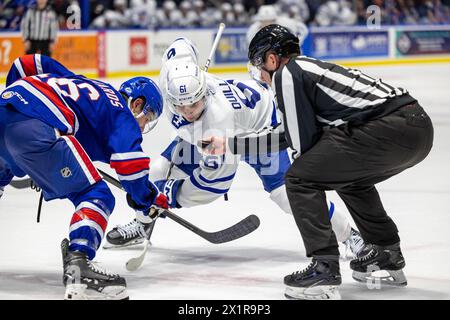 17 avril 2024 : L'attaquant des Marlies de Toronto Jacob Quillan (61) patine en troisième période contre les Américains de Rochester. Les Américains de Rochester ont accueilli les Marlies de Toronto dans un match de la Ligue américaine de hockey au Blue Cross Arena de Rochester, New York. (Jonathan Tenca/CSM) Banque D'Images