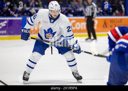 17 avril 2024 : L’attaquant des Marlies de Toronto Nick Abruzzese (26) patine en première période contre les Américains de Rochester. Les Américains de Rochester ont accueilli les Marlies de Toronto dans un match de la Ligue américaine de hockey au Blue Cross Arena de Rochester, New York. (Jonathan Tenca/CSM) Banque D'Images