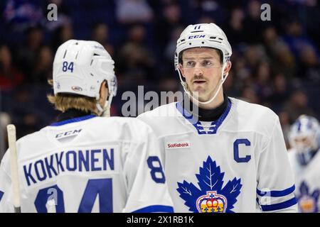 17 avril 2024 : L’attaquant des Marlies de Toronto Logan Shaw (11 ans) patine en deuxième période contre les Américains de Rochester. Les Américains de Rochester ont accueilli les Marlies de Toronto dans un match de la Ligue américaine de hockey au Blue Cross Arena de Rochester, New York. (Jonathan Tenca/CSM) Banque D'Images