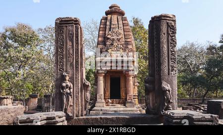 Vue de face avec les piliers en ruine du temple de Laxmi Narayana, groupe de temples de Chandpur, Chandpur, Lalitpur, Uttar Pradesh, Inde. Banque D'Images