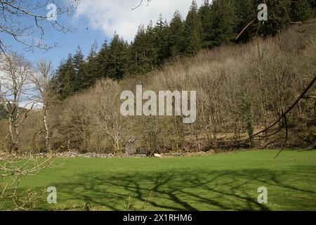 Rhaeadr Ddu et Coed Ganllwyd marchent Banque D'Images