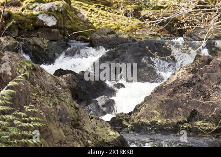 Rhaeadr Ddu et Coed Ganllwyd marchent sur la rivière Gamlan Banque D'Images