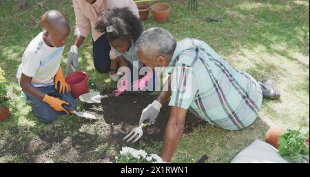 Biracial senior et les enfants afro-américains plantent dans le jardin comme une famille diversifiée Banque D'Images