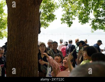 Hangzhou, province chinoise du Zhejiang. 18 avril 2024. Les touristes regardent un écureuil au bord du lac de l'Ouest à Hangzhou, dans la province du Zhejiang de l'est de la Chine, 18 avril 2024. Crédit : Han Chuanhao/Xinhua/Alamy Live News Banque D'Images