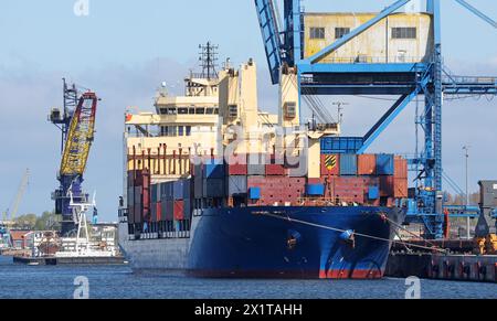 Rostock, Allemagne. 18 avril 2024. Le cargo russe 'Atlantic Navigator II' est amarré dans le port d'outre-mer. Le 04.03.2024, le cargo est entré dans le port de Rostock pour des réparations en raison de problèmes techniques avec l'hélice. Les autorités douanières ont par la suite interdit au navire de poursuivre son voyage. Le navire, en provenance de Russie, était en route pour les États-Unis et avait du bois à bord, entre autres choses, qui est soumis à une interdiction d'importation de l'UE. Crédit : Bernd Wüstneck/dpa/Alamy Live News Banque D'Images