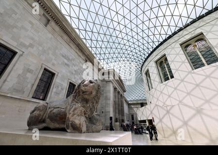 Great court of the British Museum, Londres montrant le Lion de Knidos. Banque D'Images