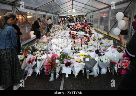 Sydney, Australie. 18 avril 2024. Westfield Bondi Junction a ouvert pour une journée de réflexion tandis que les magasins restent fermés. La pile de fleurs laissées par les gens dans le centre commercial d'en face continue de grandir et les gens visitent pour pleurer et rendre hommage à un attaquant au couteau malade mental (peut-être sous la drogue), Joel Cauchi, 40 ans, a fait un saccage tuant 6 personnes. Crédit : Richard Milnes/Alamy Live News Banque D'Images