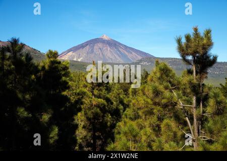 Mirador de la Piedra, El Parc National du Teide, Tenerife, Îles de canaries, espagne. Banque D'Images