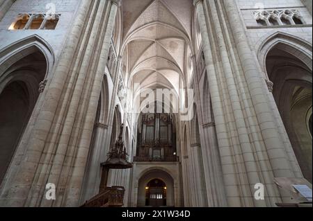 Nef du 13ème siècle, avec chaire et loft d'orgue du 19ème siècle, cathédrale notre Dame de l'Assomption, Lucon, Vendée, France Banque D'Images