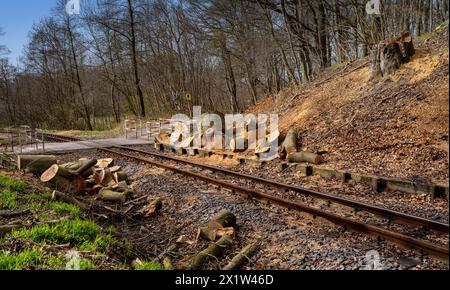 Lit ferroviaire à voie étroite du Raging Roland, Ruegen, Mecklembourg-Poméranie occidentale, Allemagne Banque D'Images