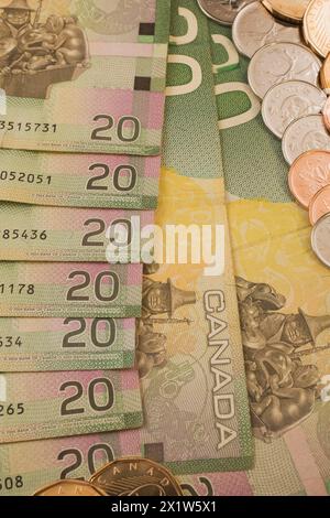 Gros plan du verso de billets de vingt dollars verts, jaunes et roses de la Banque canadienne du Canada avec pièces assorties, Studio composition, Québec, Canada Banque D'Images