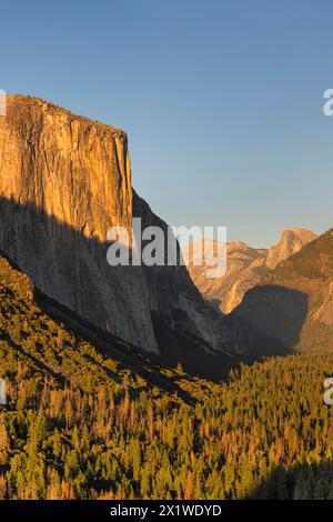 Tunnel View, Yosemite Valley avec El Capitan, et Half Dome, Yosemite National Park, Californie, États-Unis, États-Unis, Parc national de Yosemite Banque D'Images