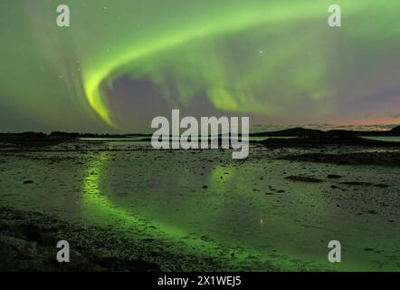 Aurores boréales (aurores boréales) reflétées dans les eaux calmes d'un lac peu profond, Offersoey, Kystriksveien, FV 17, Norvège Banque D'Images