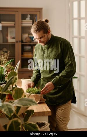 Jeune homme en chemise vert foncé se penchant sur le rebord de la fenêtre avec des germes de blé vert poussant dans une petite boîte et prenant soin des semis Banque D'Images