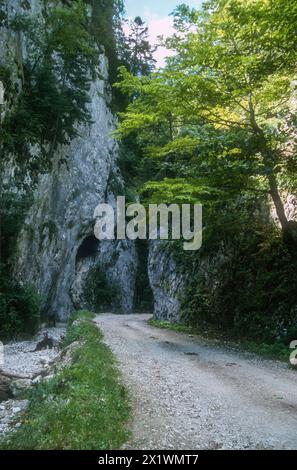 Parc naturel Piatra Craiului montagnes des Carpates en Roumanie Banque D'Images