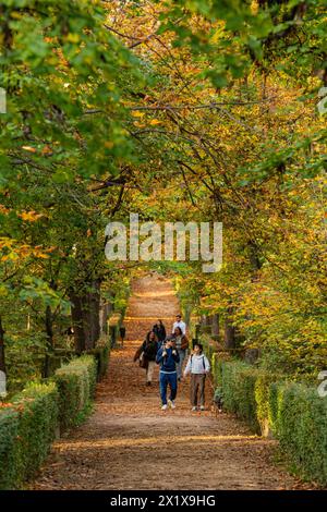 Madrid, Espagne, 18 novembre 2023, les gens marchent dans le célèbre parc Buen Retiro situé dans le centre de Madrid, à l'automne Banque D'Images