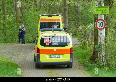 Großweitzschen - Vermisster Jugendlicher bewusstlos im Wald gefunden : Rettungsdienst und Feuerwehr im Einsatz 14.04.2024 gegen 17,30 Uhr Großweitzschen OT Westewitz, Muldenstraße Zu einem Einsatz von Feuerwehr und Rettungsdienst kam es am am Sonntagabend im Großeiwtzschener Ortsteil Westewitz Mittelsachsen. Nach ersten Angaben der Feuerwehr wurden die kameraden gegen 17,30 Uhr an die Mulde alarmiert, WO Am Abend mehrere Jugendliche gemeinsam Alkohol konsumiert haben sollen. In der Folge Gab es wohl einen Streit, wodurch ein Jugendlicher sich von der Gruppe entfernte und allein in Richtung Spitzst Banque D'Images