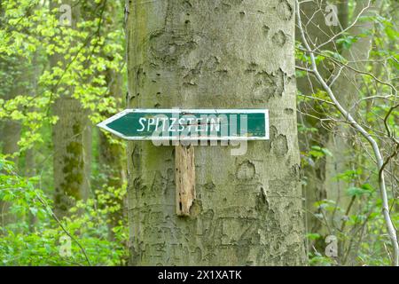 Großweitzschen - Vermisster Jugendlicher bewusstlos im Wald gefunden : Rettungsdienst und Feuerwehr im Einsatz 14.04.2024 gegen 17,30 Uhr Großweitzschen OT Westewitz, Muldenstraße Zu einem Einsatz von Feuerwehr und Rettungsdienst kam es am am Sonntagabend im Großeiwtzschener Ortsteil Westewitz Mittelsachsen. Nach ersten Angaben der Feuerwehr wurden die kameraden gegen 17,30 Uhr an die Mulde alarmiert, WO Am Abend mehrere Jugendliche gemeinsam Alkohol konsumiert haben sollen. In der Folge Gab es wohl einen Streit, wodurch ein Jugendlicher sich von der Gruppe entfernte und allein in Richtung Spitzst Banque D'Images