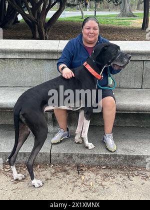 Portrait d'une femme avec son grand danois à Prospect Park, Brooklyn, New York. Banque D'Images