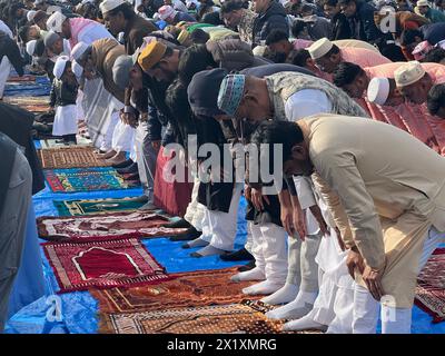 Les musulmans se réunissent pour la prière au Parade Grounds de Prospect Park après le mois de Ramadan à l'Aïd al-Fitr à Brooklyn, New York. Banque D'Images