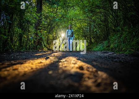 Description : toursit féminin aime marcher le long du sentier de randonnée ensoleillé à travers la forêt tropicale de madère. Levada de Caldeirão Verde, île de Madère, Portugal, UE Banque D'Images