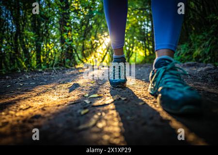 Description : jambes de toursit féminin aime marcher le long du sentier de randonnée ensoleillé à travers la forêt tropicale de madère. Levada de Caldeirão Verde, île de Madère, Port Banque D'Images
