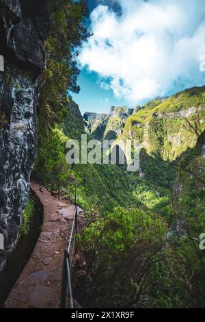 Description : vue panoramique depuis le sentier de randonnée du canal d'eau sous un grand mur rocheux à une falaise abrupte à travers la forêt tropicale de Madère. Levada de Caldeirão Verde, M Banque D'Images