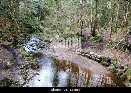 rivière colin à travers le parc forestier colin glen ouest belfast irlande du nord royaume-uni Banque D'Images