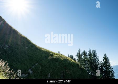 Description : femme sportive monte une pente raide de Walensee à Churfürsten dans la matinée. Schnürliweg, Walensee, composé Gallen, Suisse, Europe. Banque D'Images