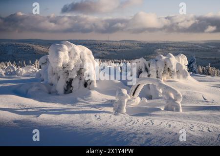 Paysage de neige de Schliffkopf, Forêt Noire, Bade-Württemberg, Allemagne Banque D'Images