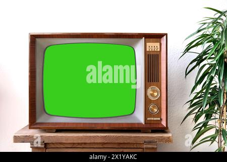 Ancienne télévision rétro avec écran vert vierge pour un designer, film vidéo se tient dans une pièce lumineuse sur une table en bois, plante d'intérieur ficus à proximité, concept d'un h confortable Banque D'Images