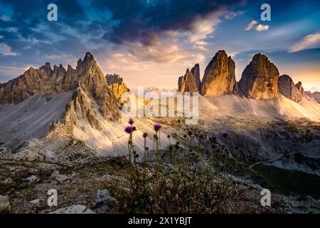 Description : vue épique depuis Sextner Stein sur Monte Paterno et la chaîne de montagnes Tre Cime dans la soirée. Tre Cime, Dolomites, Tyrol du Sud, Italie, Europe Banque D'Images