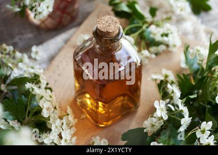 Une bouteille de teinture de plantes avec des fleurs d'aubépine fraîches sur une table Banque D'Images