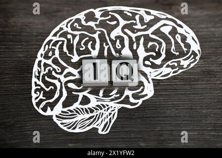 Silhouette du cerveau, mot QI, quotient intellectuel sur fond de bois, indicateur quantitatif exprimant le succès, concept de concept de niveau o Banque D'Images