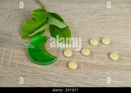 pilules, capsules, création d'un nouveau médicament à partir de plantes, substances biologiquement actives dans un laboratoire chimique, science du concept, génie génétique, n Banque D'Images