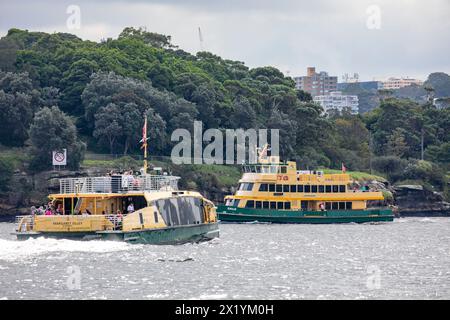 Sydney ferries Sirius et Margaret Olley croisent les autres bébés de Goat Island sur le port de Sydney, en Nouvelle-Galles du Sud, en Australie Banque D'Images