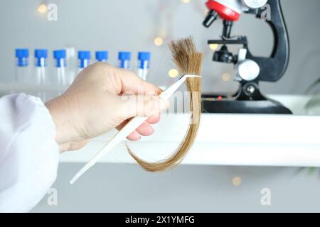 assistant de laboratoire examine un échantillon de cheveux, boucles dans un paquet pour la recherche par la recherche génétique en laboratoire, trichologue effectue le test, concept de Banque D'Images