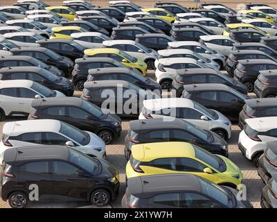 YANTAI, CHINE - 18 AVRIL 2024 - Un grand nombre de voitures électriques BYD attendent d'être expédiées pour l'exportation dans la zone portuaire de Penglai du port de Yantai dans le Shandong pro Banque D'Images
