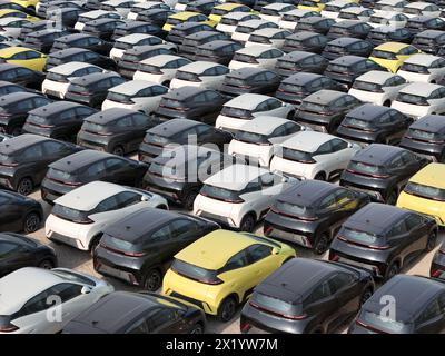 YANTAI, CHINE - 18 AVRIL 2024 - Un grand nombre de voitures électriques BYD attendent d'être expédiées pour l'exportation dans la zone portuaire de Penglai du port de Yantai dans le Shandong pro Banque D'Images