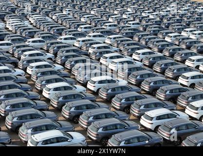 YANTAI, CHINE - 18 AVRIL 2024 - Un grand nombre de voitures électriques BYD attendent d'être expédiées pour l'exportation dans la zone portuaire de Penglai du port de Yantai dans le Shandong pro Banque D'Images