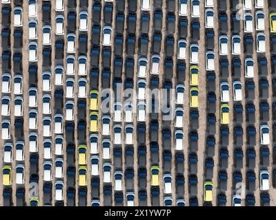YANTAI, CHINE - 18 AVRIL 2024 - Un grand nombre de voitures électriques BYD attendent d'être expédiées pour l'exportation dans la zone portuaire de Penglai du port de Yantai dans le Shandong pro Banque D'Images