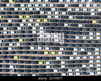 YANTAI, CHINE - 18 AVRIL 2024 - Un grand nombre de voitures électriques BYD attendent d'être expédiées pour l'exportation dans la zone portuaire de Penglai du port de Yantai dans le Shandong pro Banque D'Images