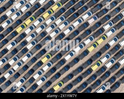YANTAI, CHINE - 18 AVRIL 2024 - Un grand nombre de voitures électriques BYD attendent d'être expédiées pour l'exportation dans la zone portuaire de Penglai du port de Yantai dans le Shandong pro Banque D'Images